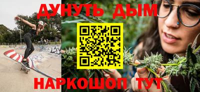 гидра Новозыбков