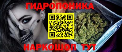 гидропоника Новокубанск