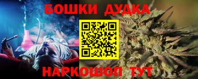 гидра Новозыбков