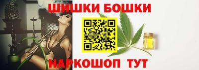 гидра Новозыбков