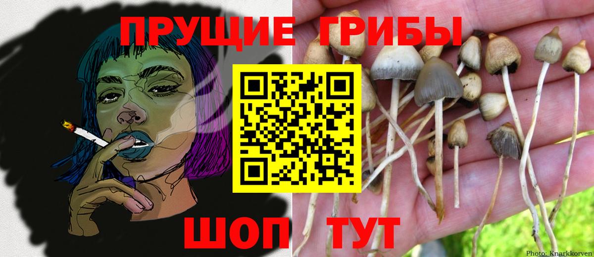 Галлюциногенные грибы мухоморы  Вход с VPN  Хасавюрт 