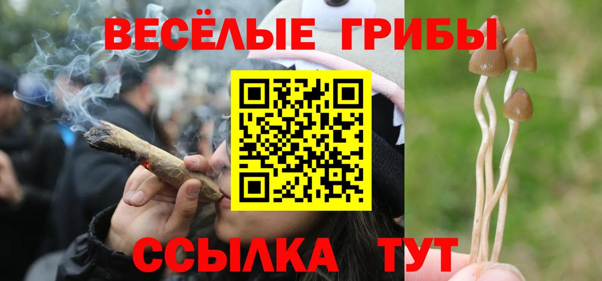 Галлюциногенные грибы Magic Shrooms Хасавюрт